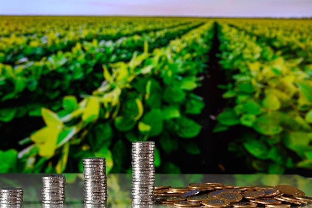 Australian Farm Institute (AFI) receives $638,000 grant to support international collaboration on sustainable agriculture