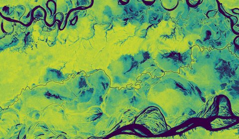 World’s First AI-powered Global Scale Forest Monitoring System launched by Planet Labs
