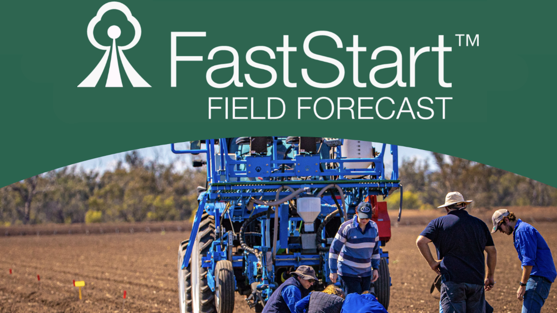 Syngenta, Goanna Ag collab with Australia's Cotton Seed Distributors to launch FastStart™ program