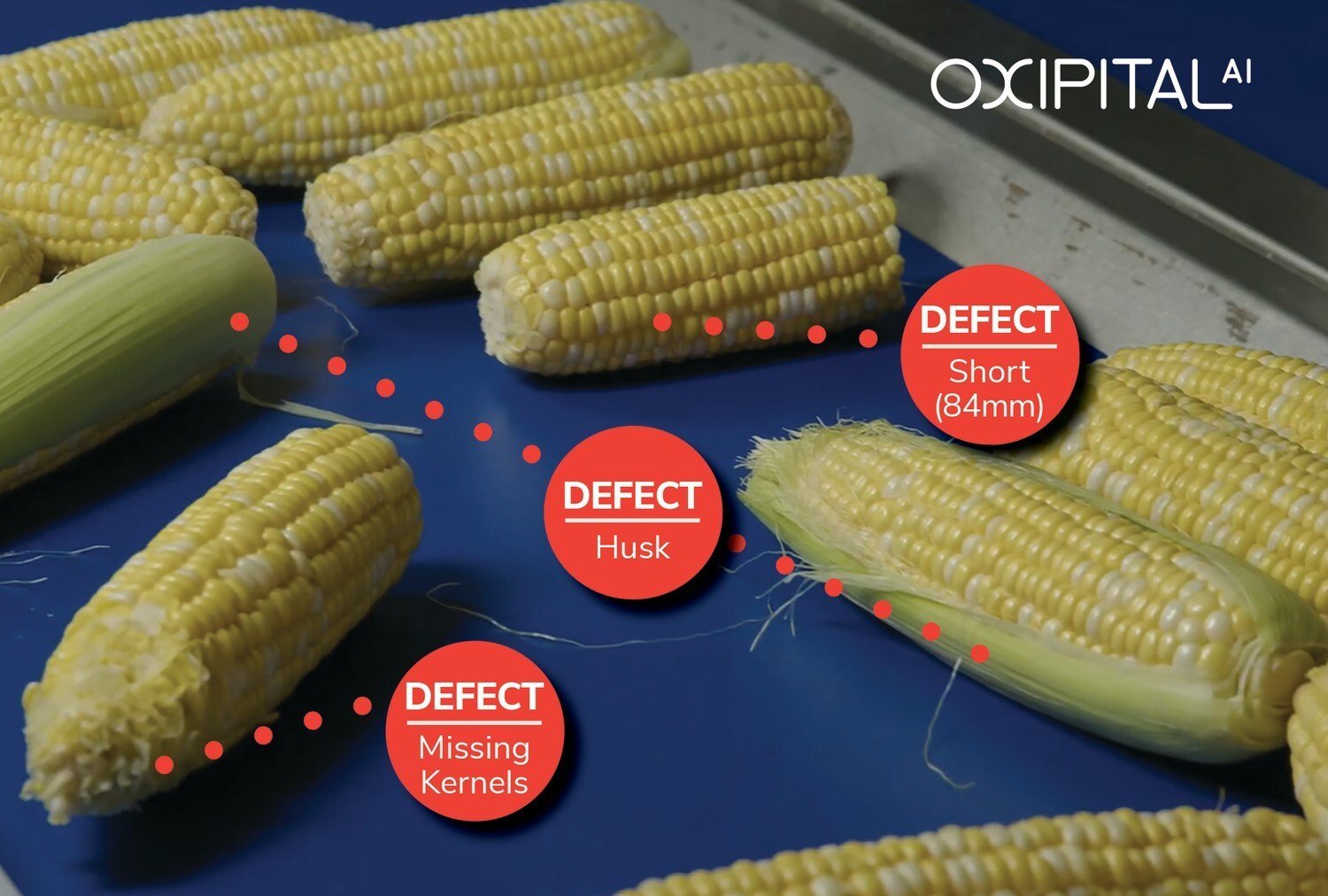 Oxipital AI unveils advanced Precision Visual AI platform to detect, measure, and classify farm produces