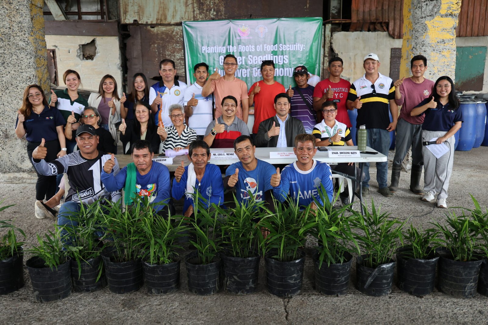 DA-HVCDP boosts local ginger production with seedling distribution in Pampanga, Philippines