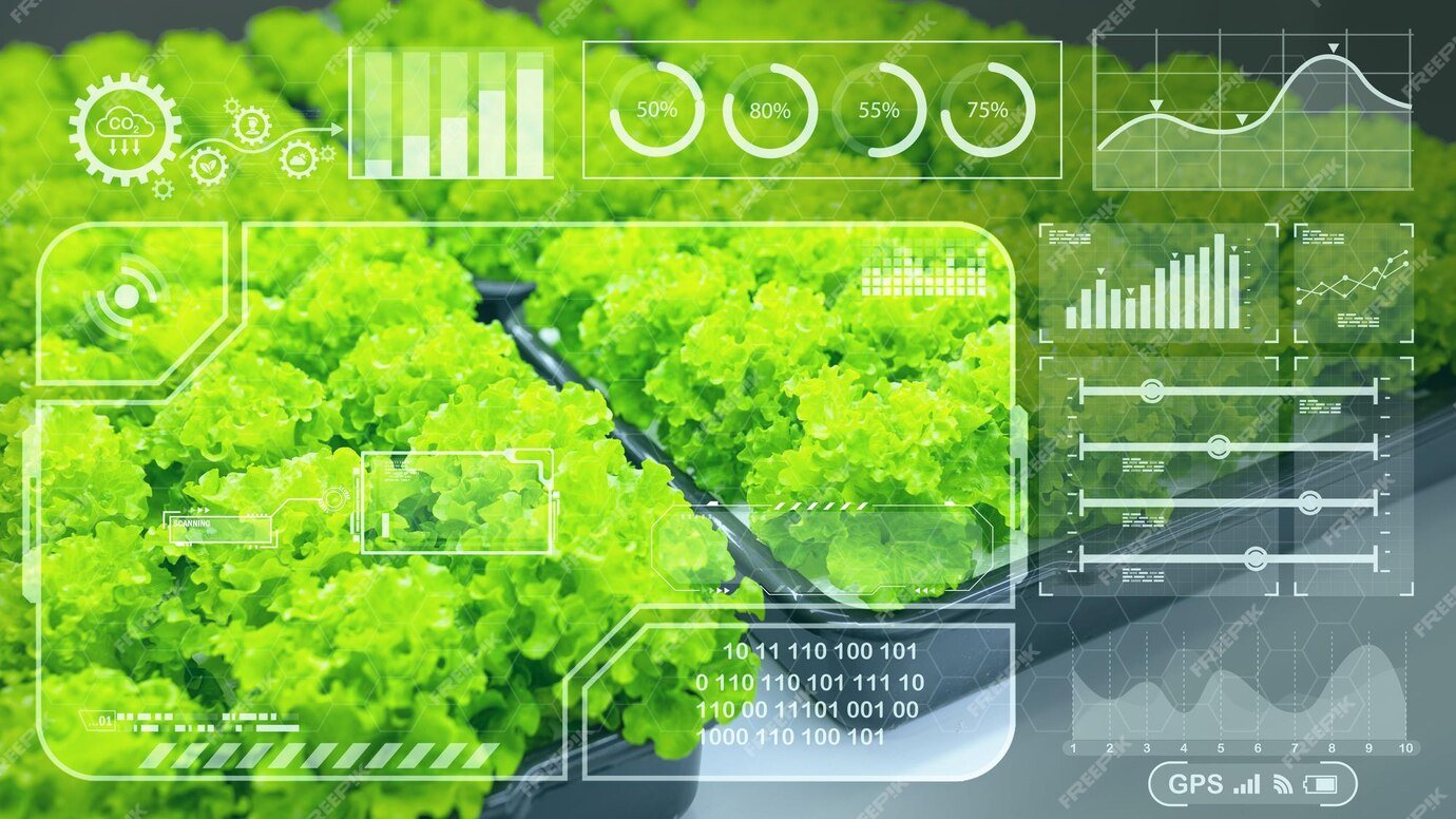 ReGrow Israel Harvests insights from Oracle Data Intelligence for agriculture to build resilient Agri-businesses