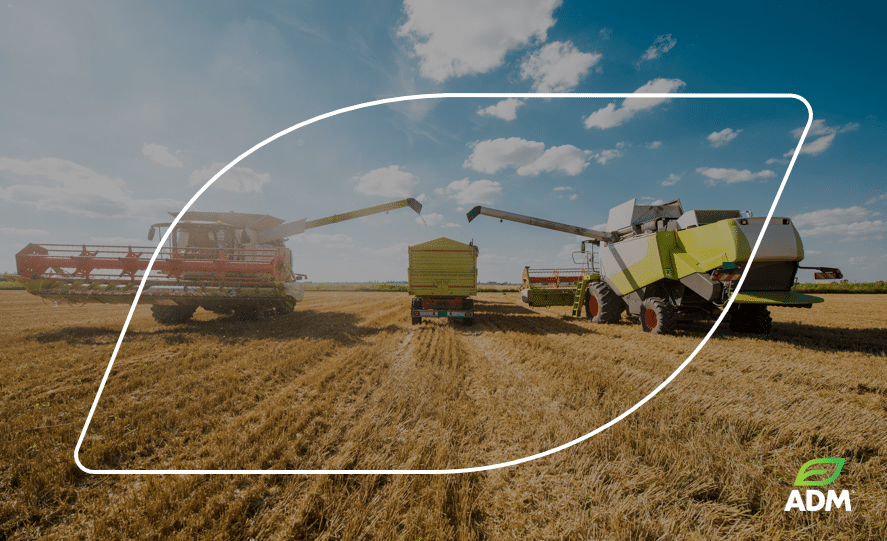 ADM to boost Non-GM Capabilities in Hungary coupled with acquisition of Multi-Seed and Corn Germ Crush Facility