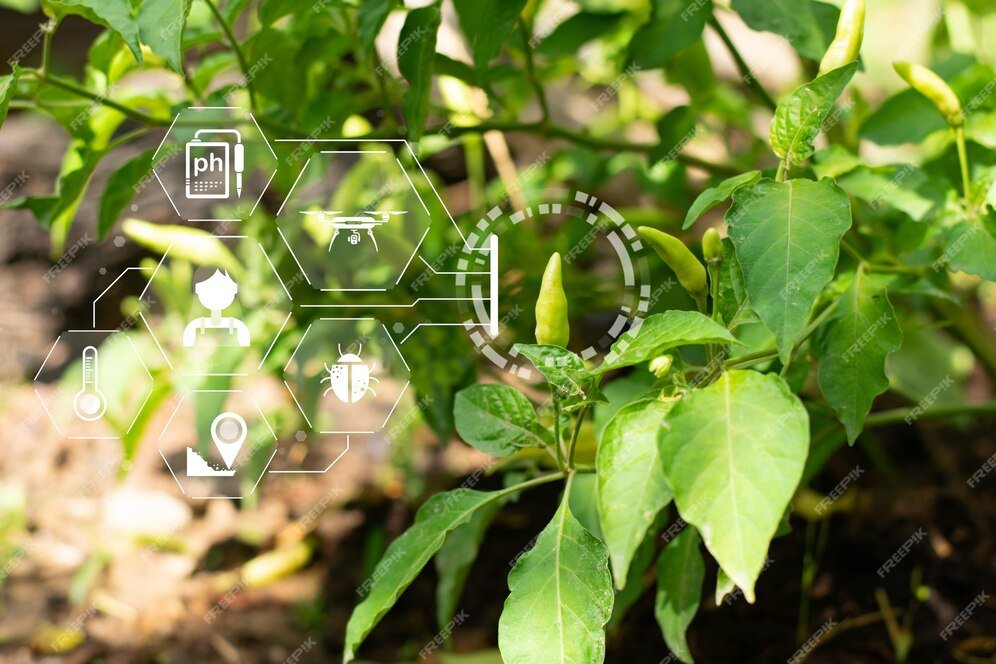 Acadian Plant Health™ and BASF Agricultural Solutions partner to Innovate Climate-Resilient Solutions for Sustainable Agriculture 