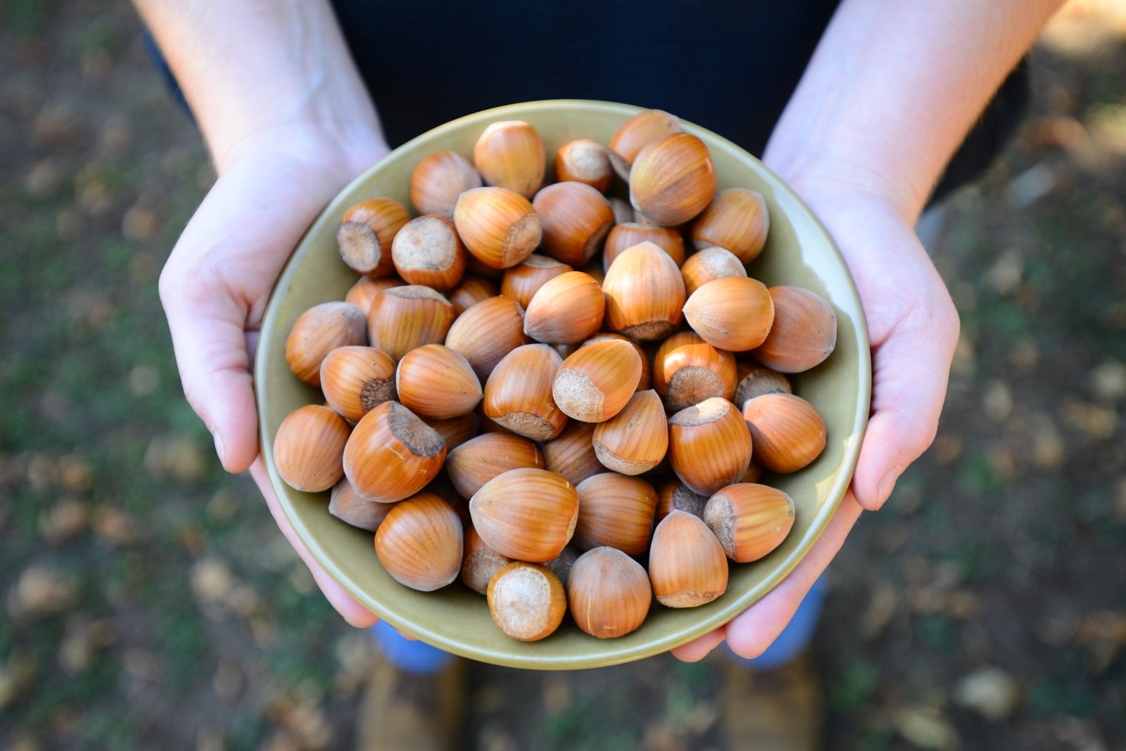 Ferrero invests in hazelnut farming globally with research grants to the U.S. University programs