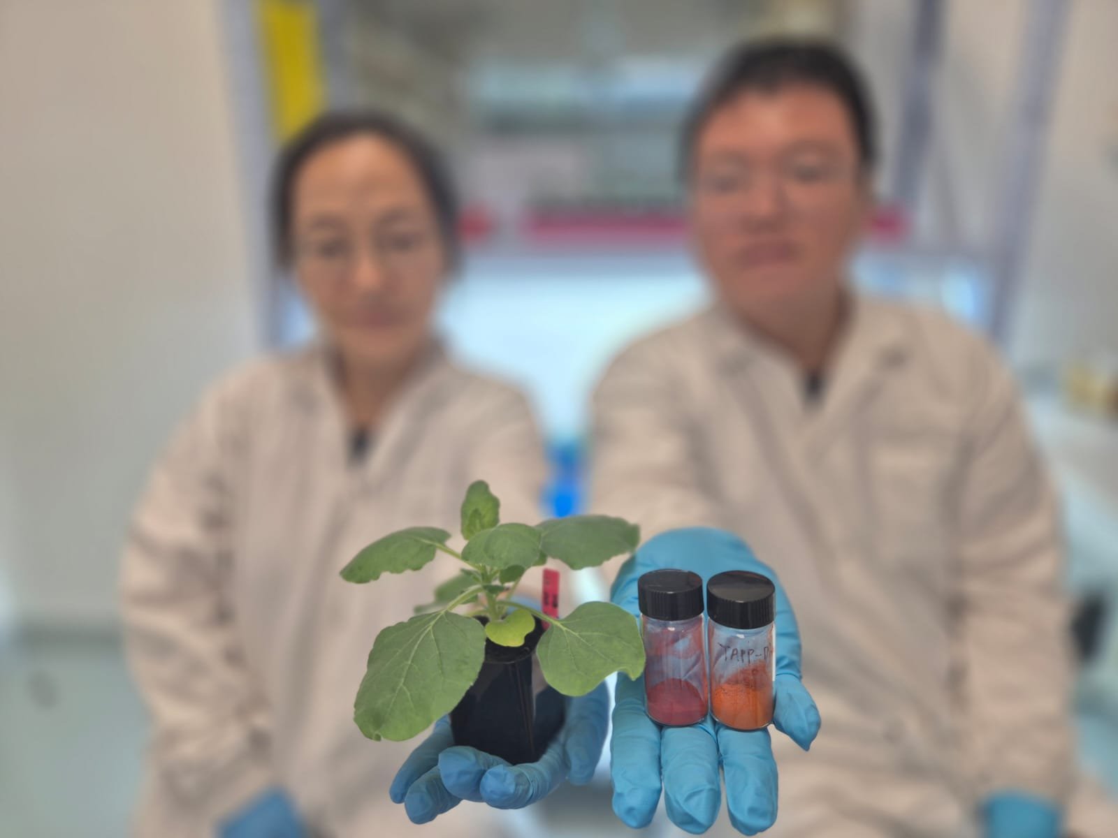 Singapore's SMART researchers pioneer method to detect dehydration in plants