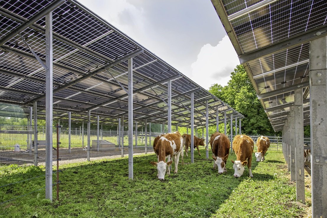 I Squareds Cube Green Energy and SUNfarming,   merges to forge "Agri-PV" projects on agricultural land