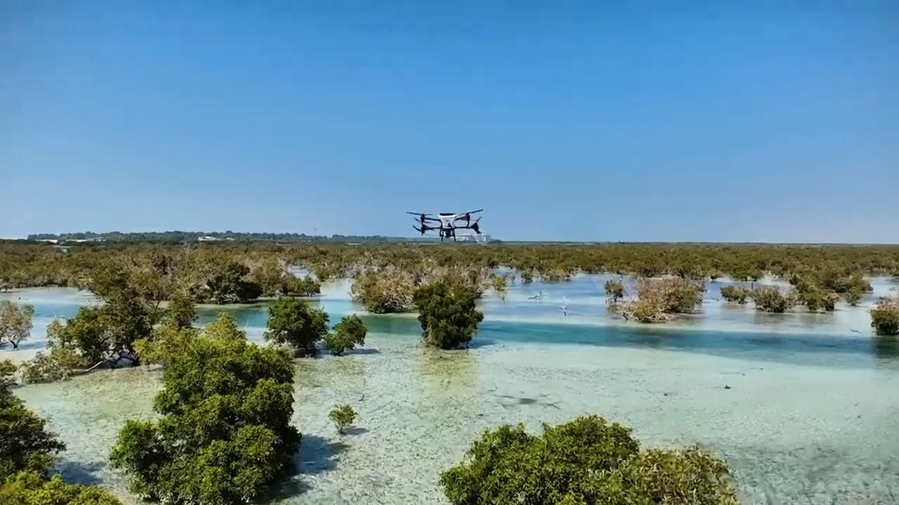 Abu Dhabi's Nabat to use AI and robotics to restore mangroves and build climate resilience