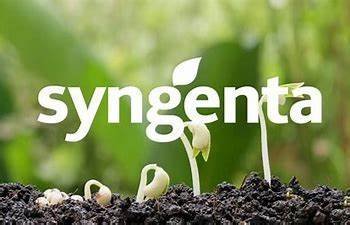 Syngenta to maximize soybean yield-protection mechanism for 2025