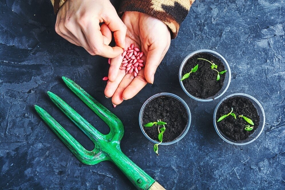 UPL invests in Hybrid Seeds Vietnam Company Limited