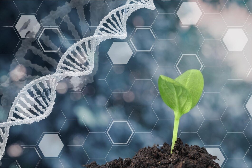 South Korea approves two genetically modified soybeans and one genetically modified microorganism for use as food or feed