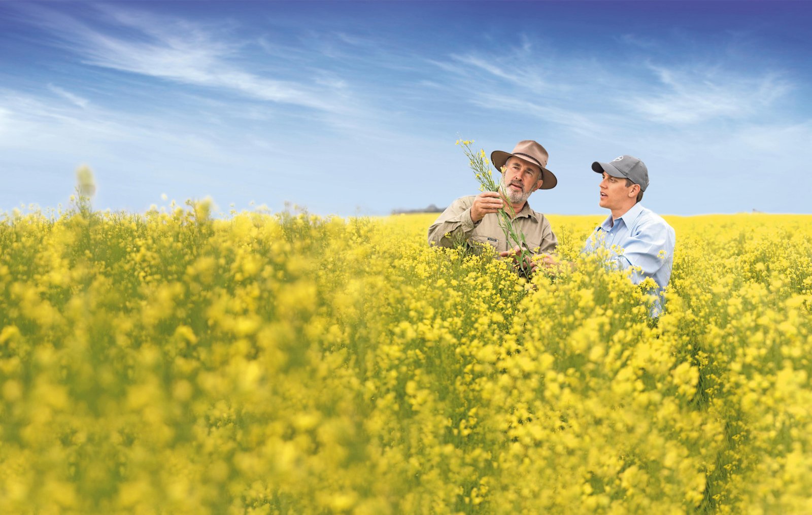 Bayer and Neste collaborate to develop Feedstocks for Renewable Fuels