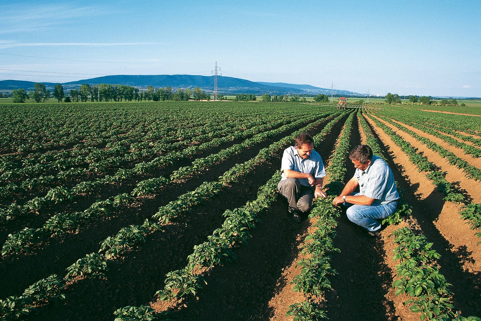 Bayer and Ecospray sign a distribution agreement to distribute novel liquid nematicides across Europe, the Middle East, and Africa by 2026