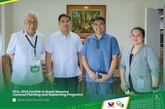 Philippine's PCA, UPLB Confab to Boost Massive Coconut planting and replanting program's