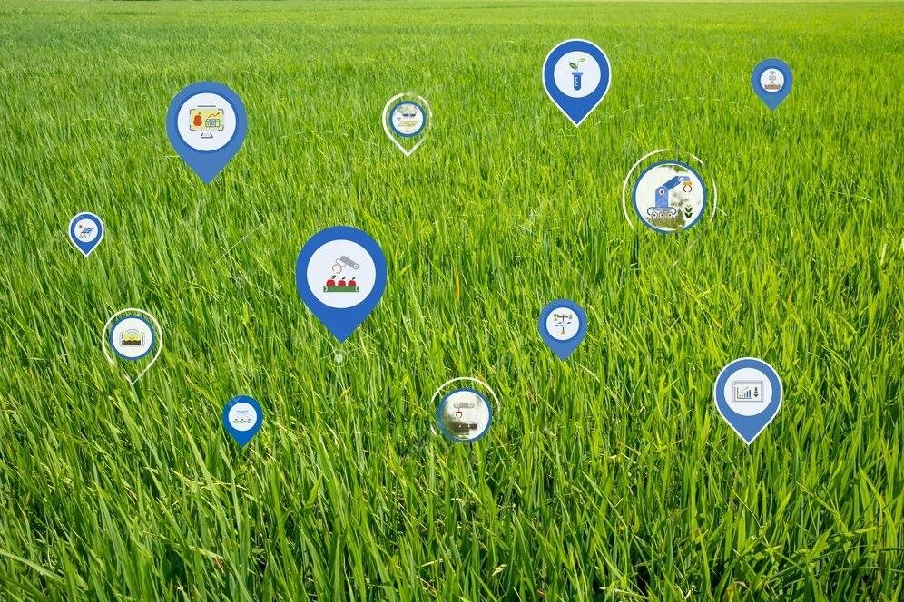 Bayer launches Alivio, focusing on innovation in the agri-insurance space