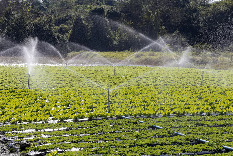 Farmfront announces Commercial partnership with BF Group to supply Irrigation solutions