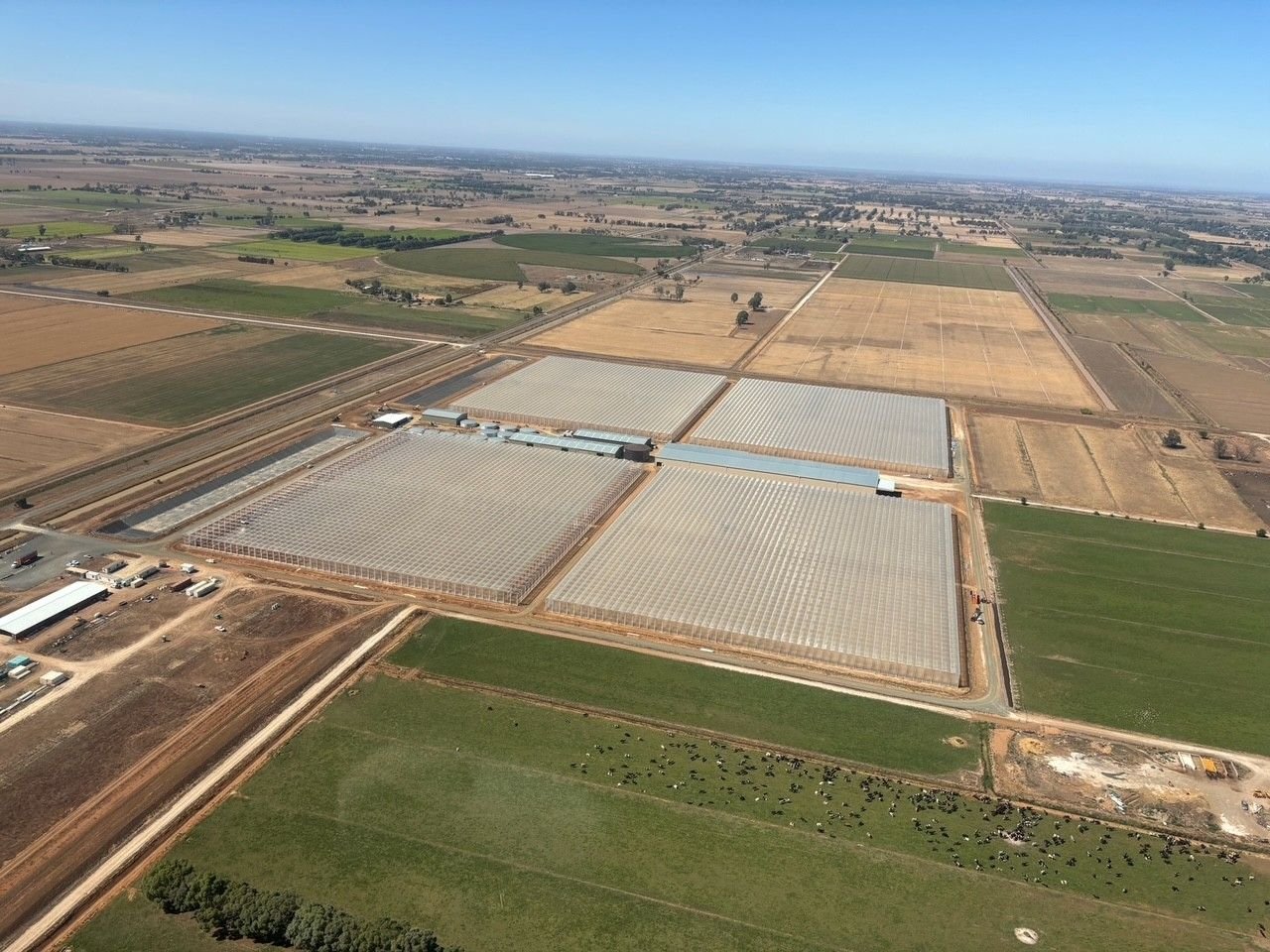 Goodness Grown and Premier Fresh Australia inks Marketing &amp; Distribution Partnership