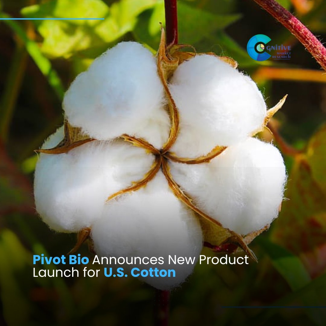 Pivot Bio launches innovative gene-edited nitrogen fixer for Cotton cultivation