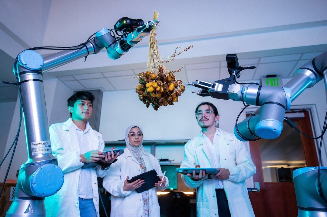 Saudi Arabia's KAUST developing robotic system to improve date palm harvesting