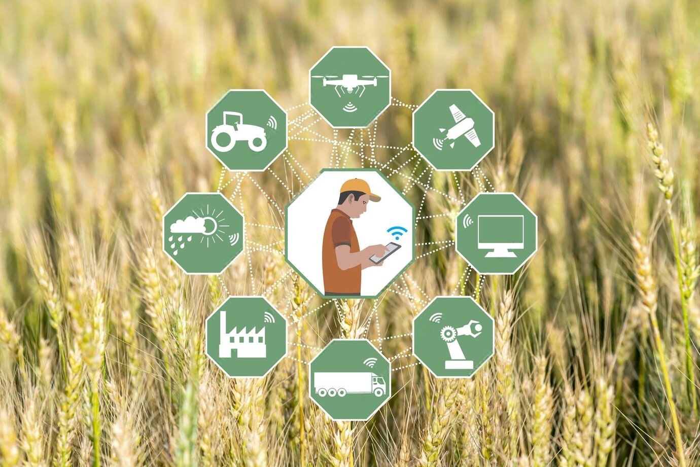 Korea's S&amp;E company expands AI-driven agritech platform into Vietnam, advancing data-led agricultural trading 
