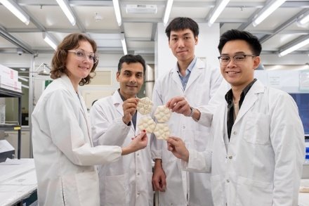 Singapore scientists create ‘fungi tiles', eco-friendly thermo-insulation materials using plant biomaterials as a construction component