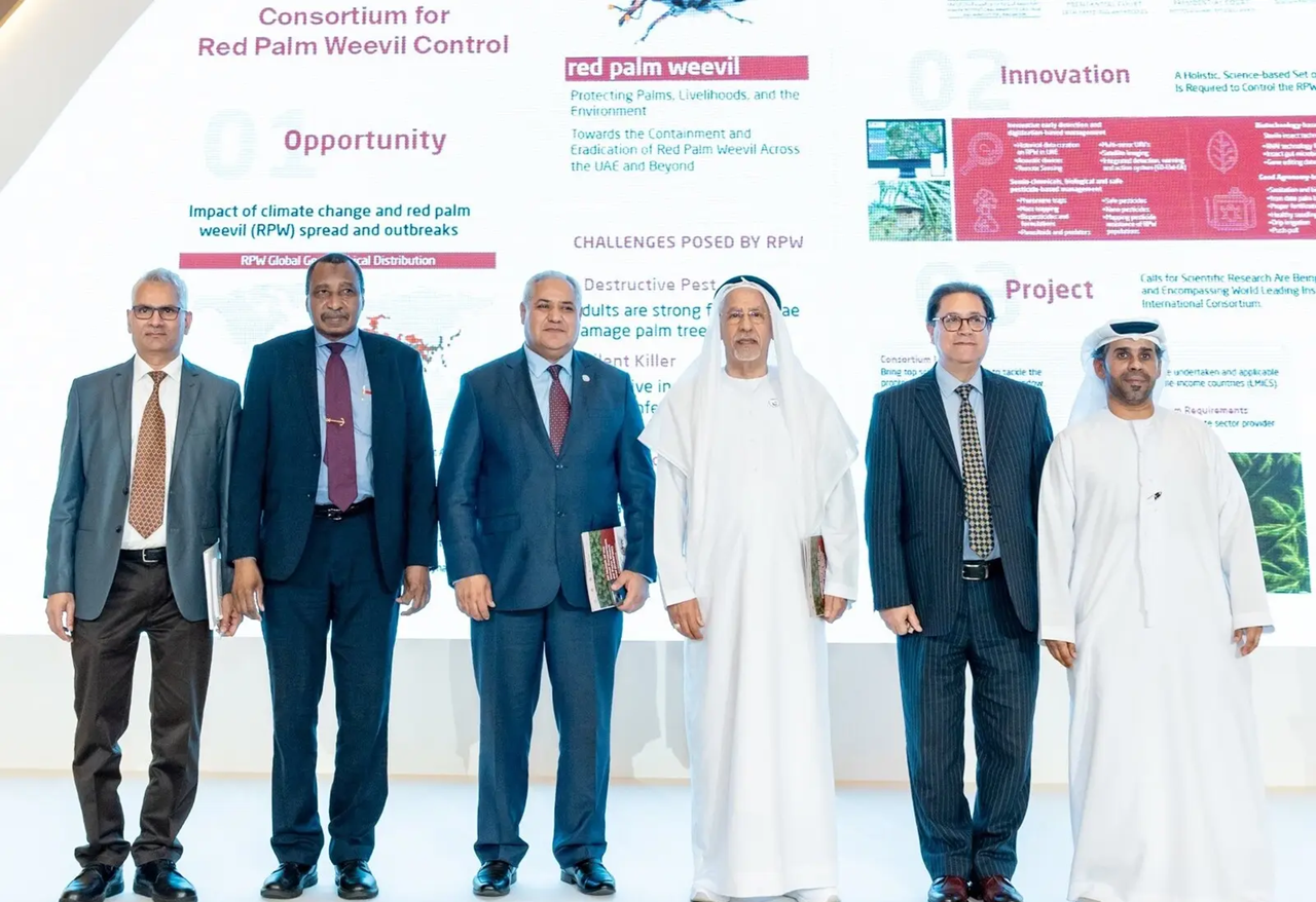 ICARDA launches international coalition to protect date palms