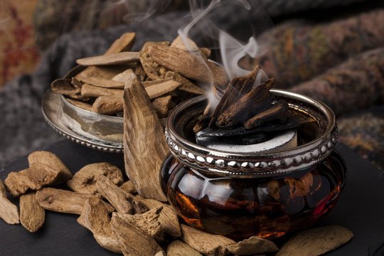 Bhutan–Thailand tie-up to enhance high-value agarwood industry