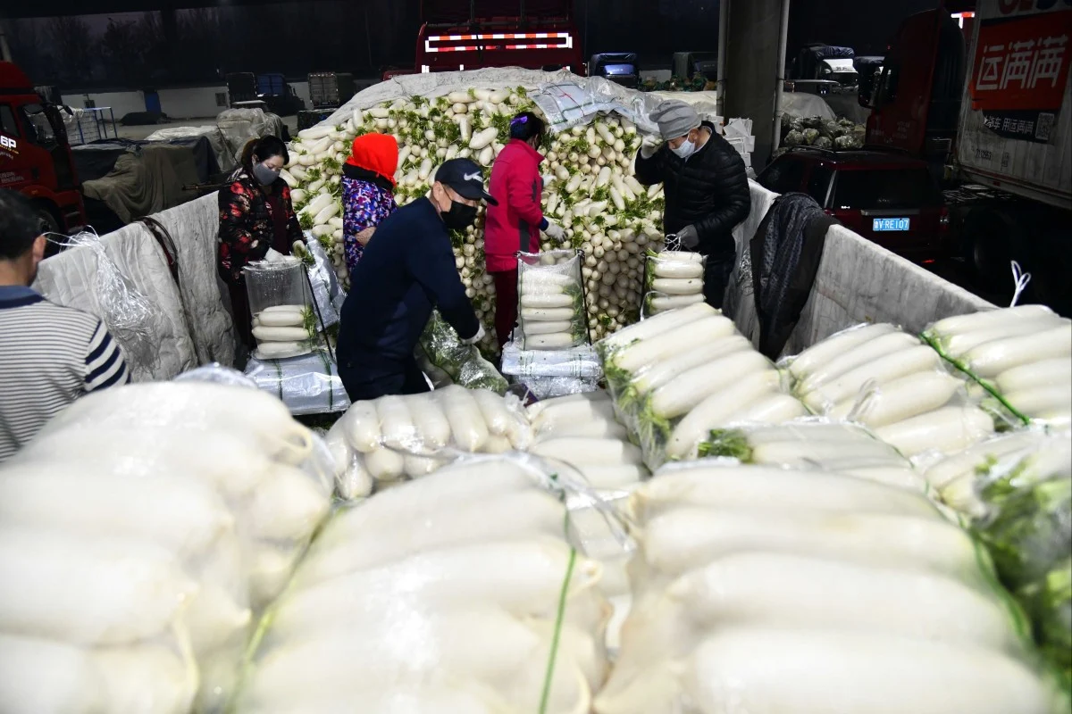 China’s ‘Vegetable Capital’ breaks ground in the desert with $33M UAE Agritech Hub