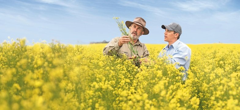 Bayer Crop Science Canada redefines Canola innovation with new "Advancing Better Canola" initiative