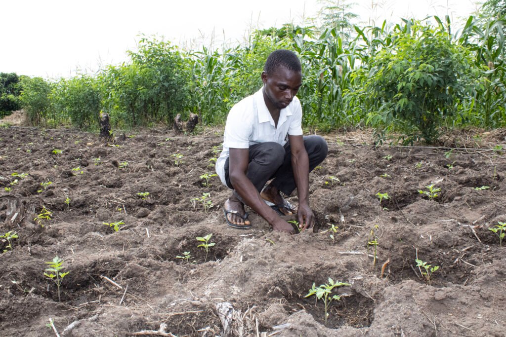 IFDC and AKADEMIYA2063 ink partnership for policy solutions in African agriculture