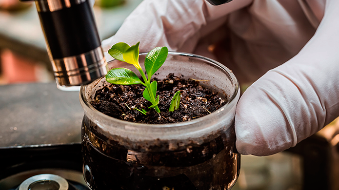 Olmix launches Cormin® SW, a PFC6-certified biostimulant for enhancing blended fertilizer performance