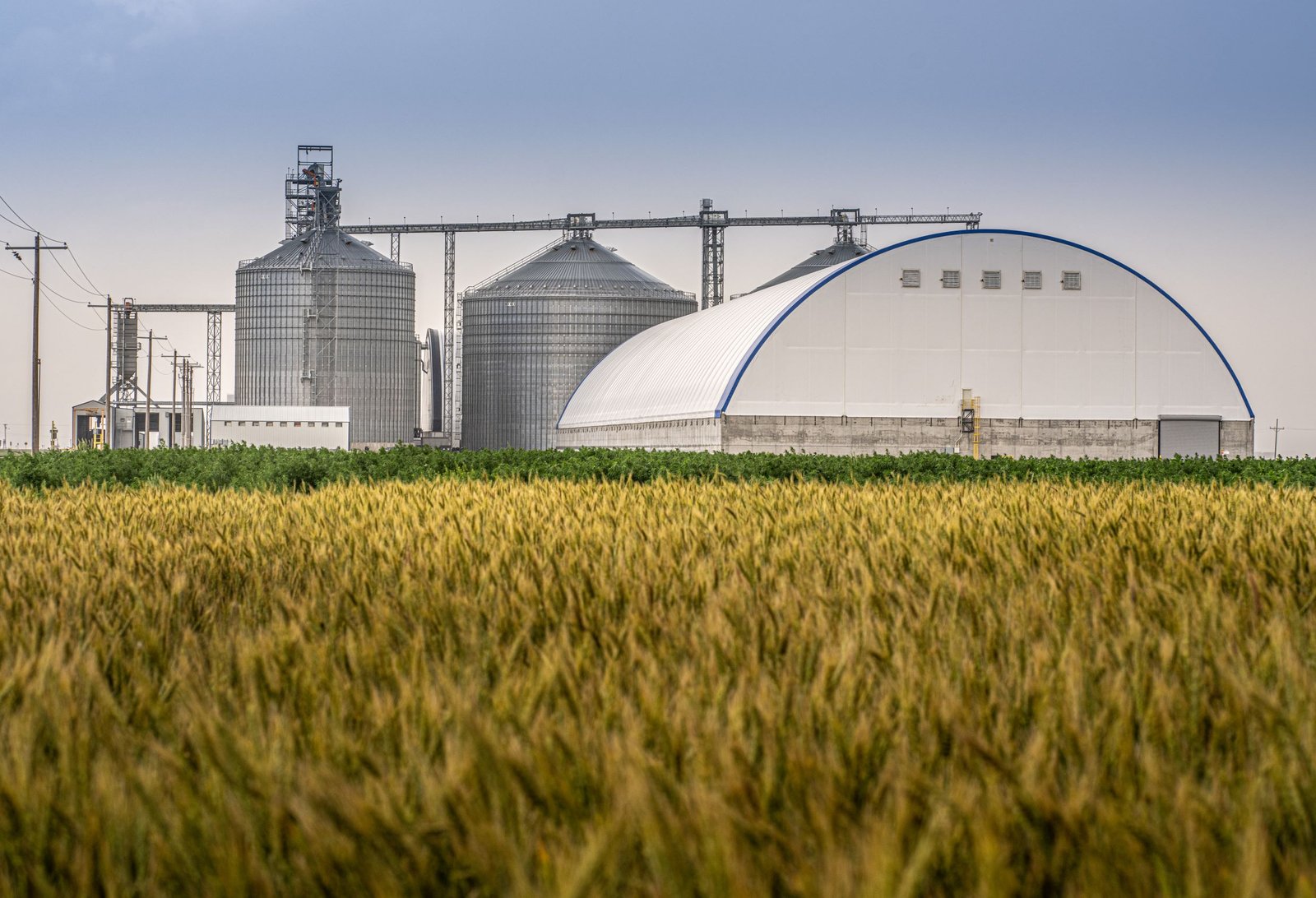Bartlett acquires Global Agriculture company Ceres Global Ag Corp.