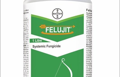 Bayer unveils Felujit fungicide for sheath blight control in paddy in India