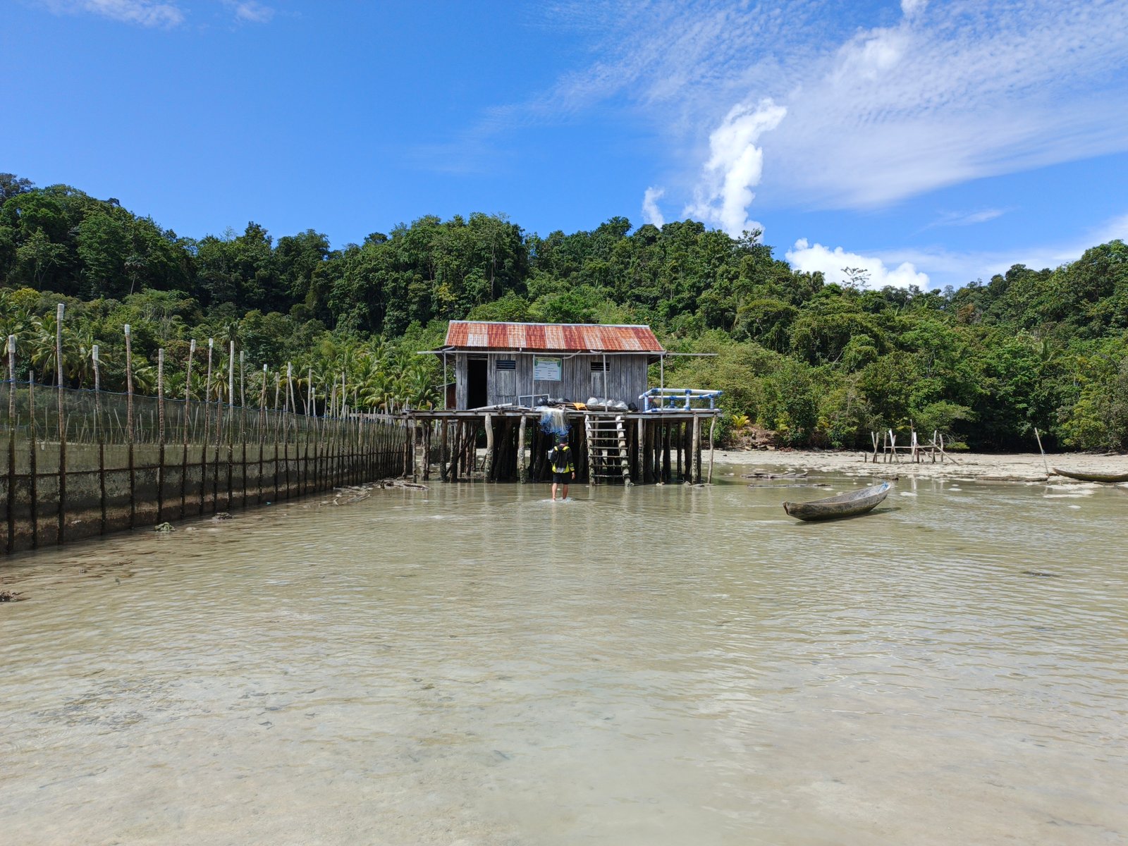 Revitalizing seaweed cultivation across Southeast Asia to empower coastal  communities 
