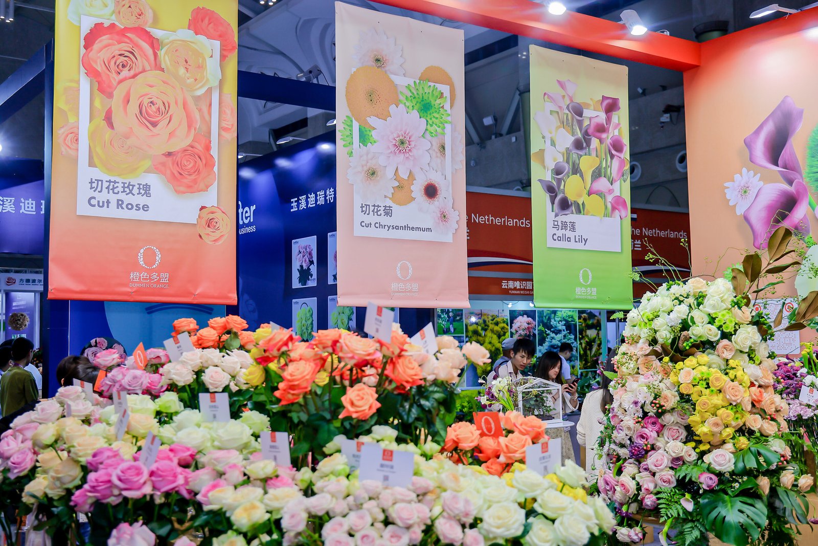 Global floriculture innovations under spotlight at 23rd Kunming International Flower Expo