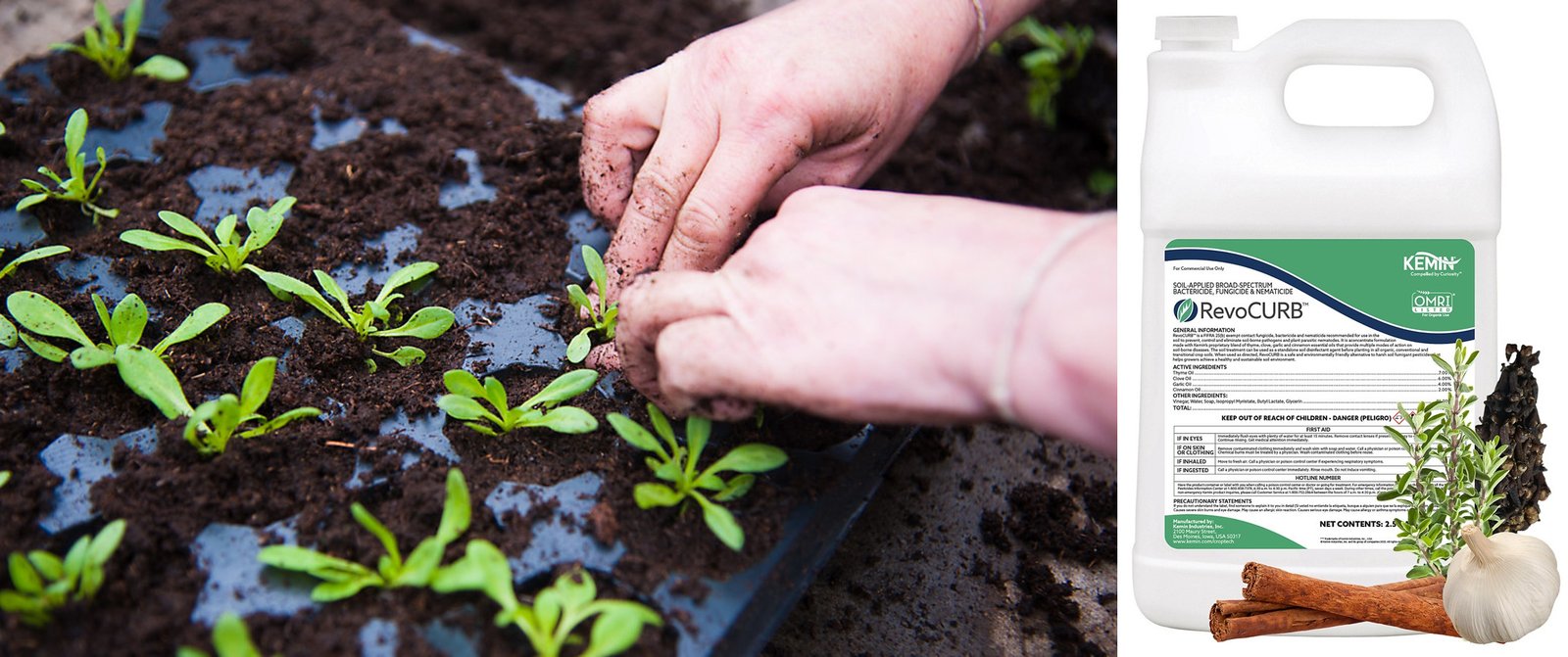 Kemin launches RevoCURB™, an OMRI-Listed® Botanical-Oil-Based Soil treatment for Soil Health