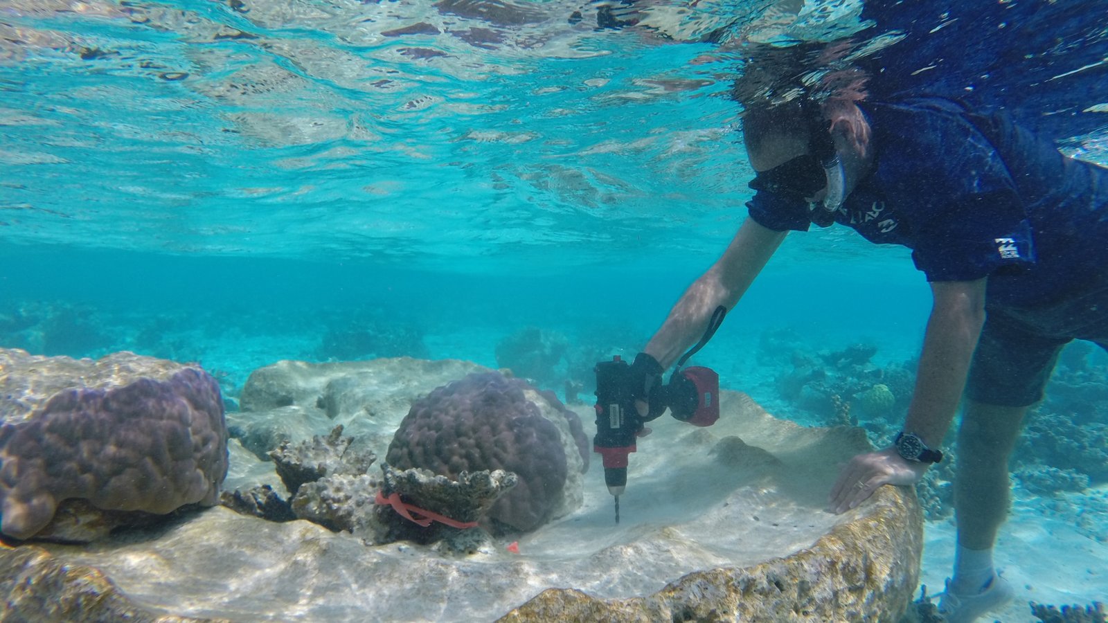 Singapore Natural Archives in Coral Skeletons Reveal Earlier Sea-Level Rise