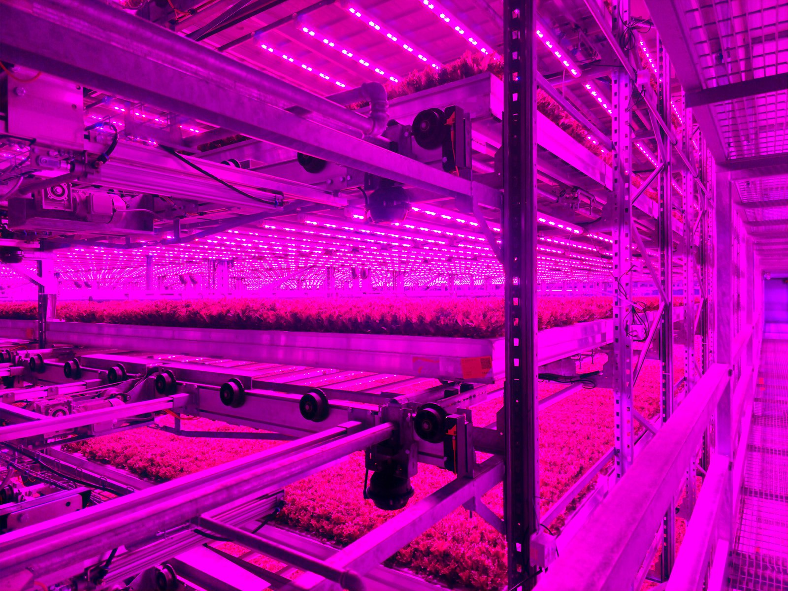 80 Acres Farms® and Soli Organic® merge to form world's largest and most advanced indoor farming networks