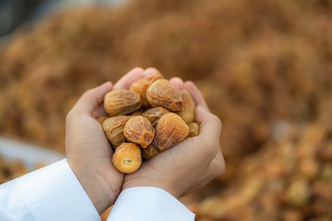 Saudi Arabia advances agricultural innovation and global market expansion