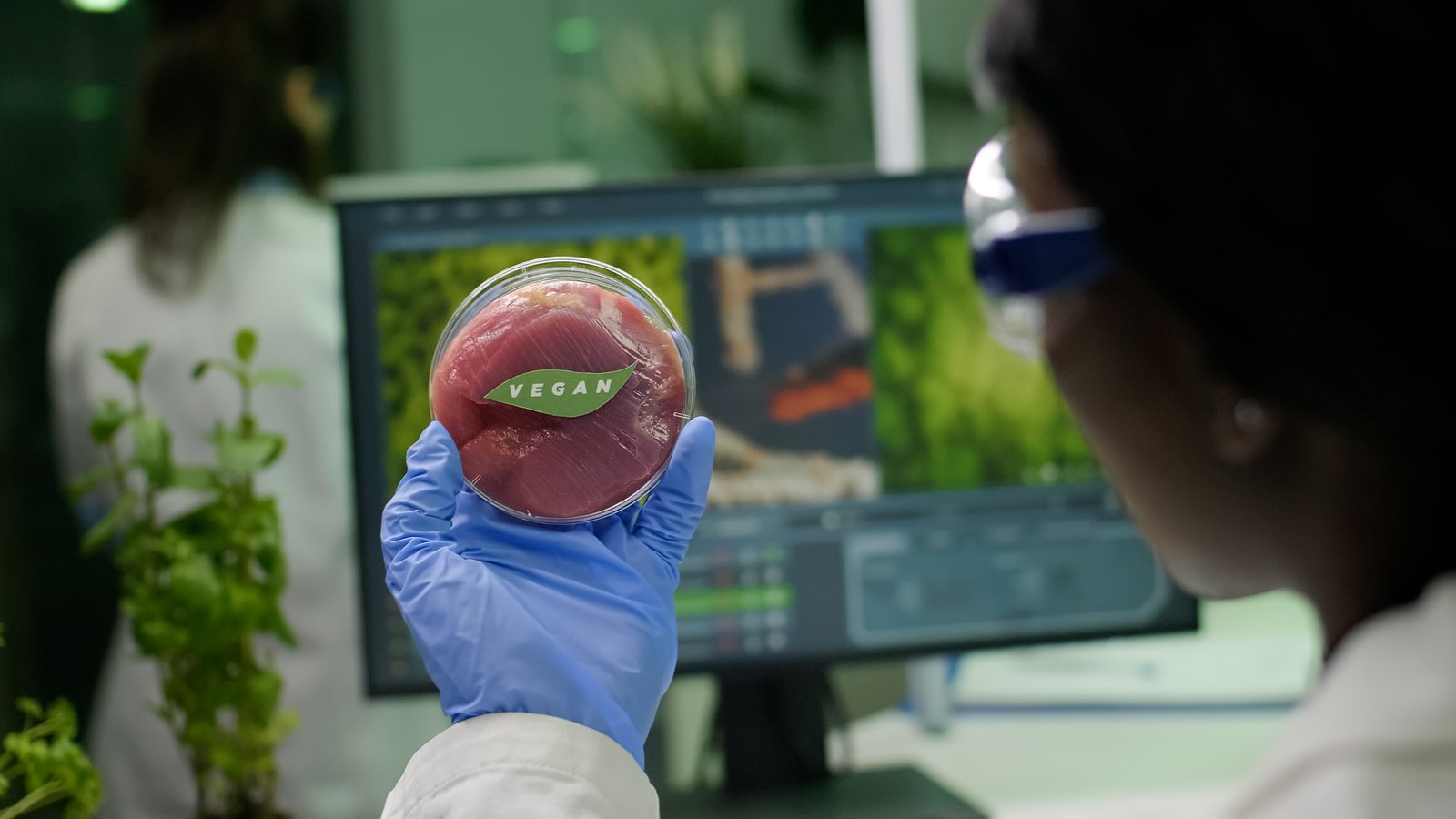 Korea’s TissenBioFarm achieves milestone in cultivated meat cell density