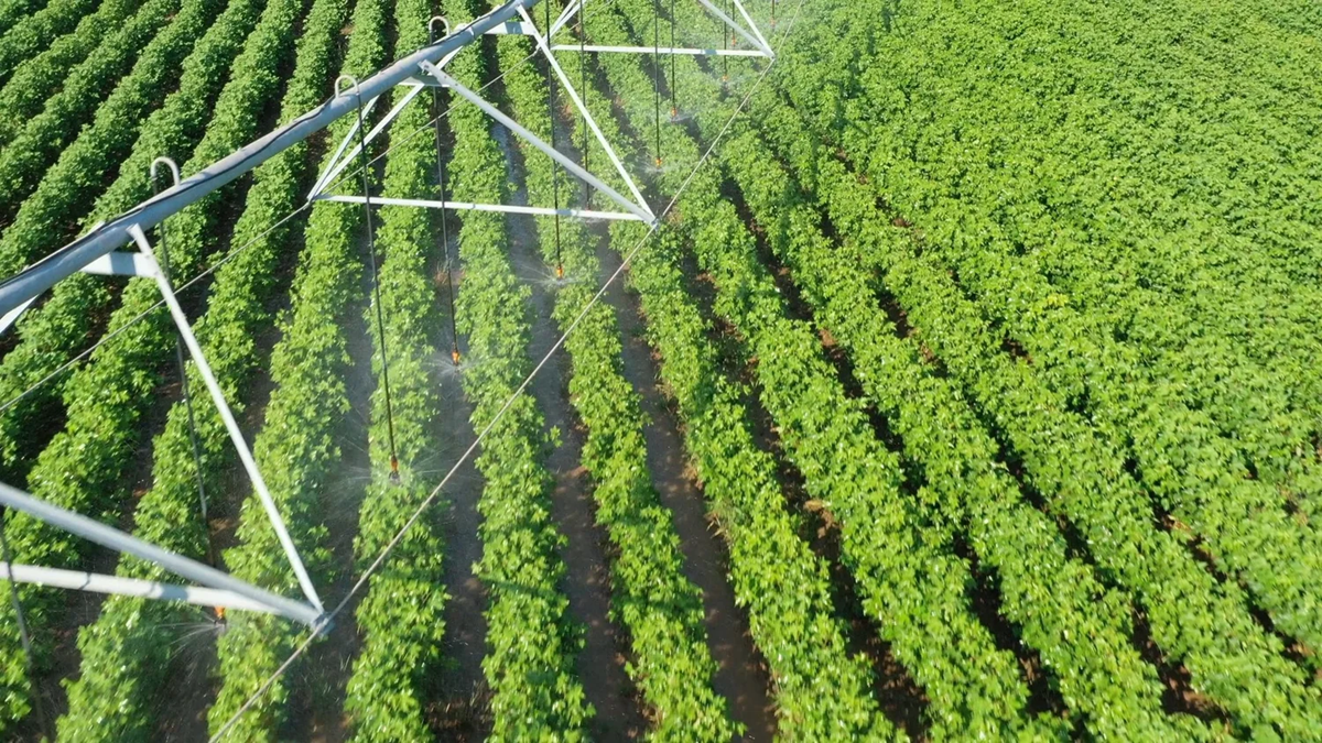 Australia's Goanna Ag expands irrigation management solutions at its US operations