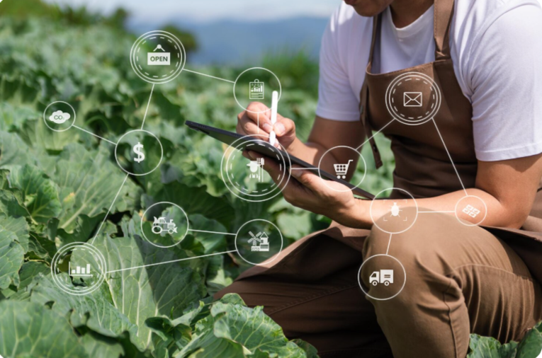 Taiwan's Sun Fresh Vegetable to pioneer smart cold chain logistics integrated with prevention agriculture
