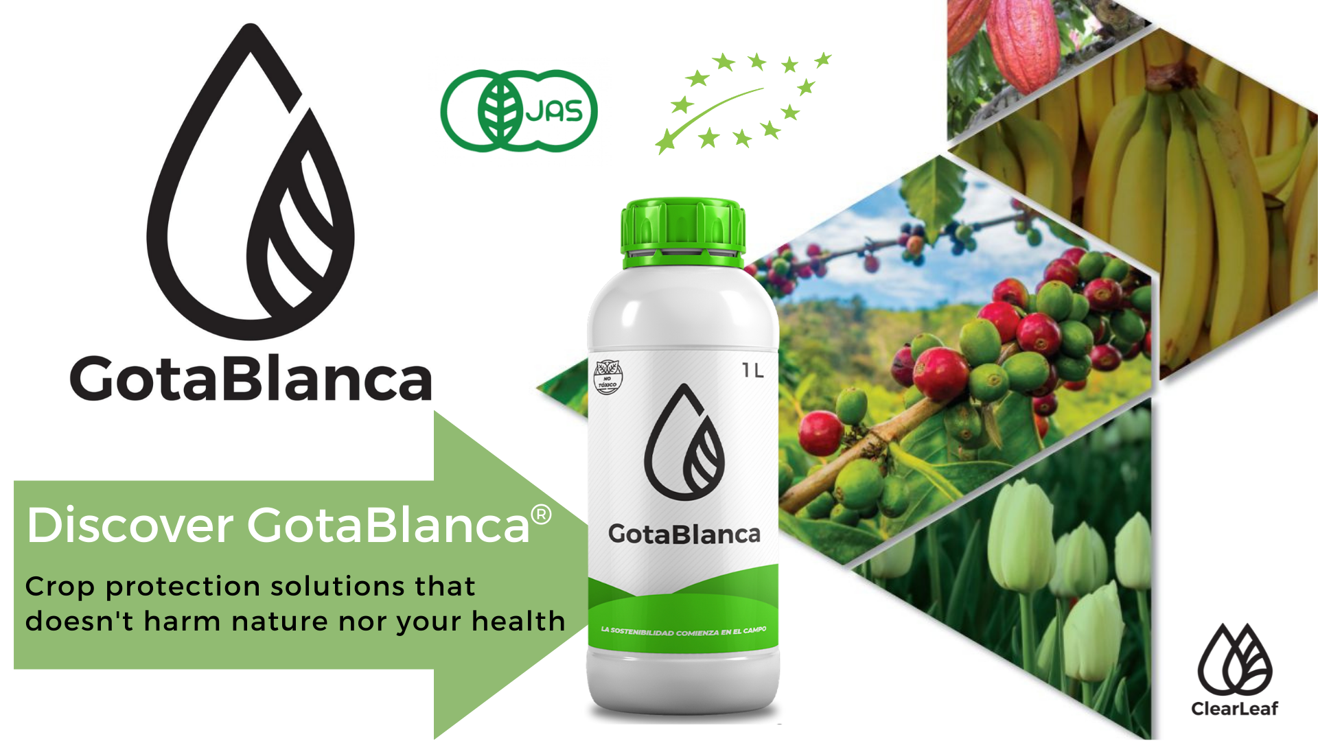 Transforming post-harvest protection: ClearLeaf’s GotaBlanca Post redefines future of zero-residue crop innovation