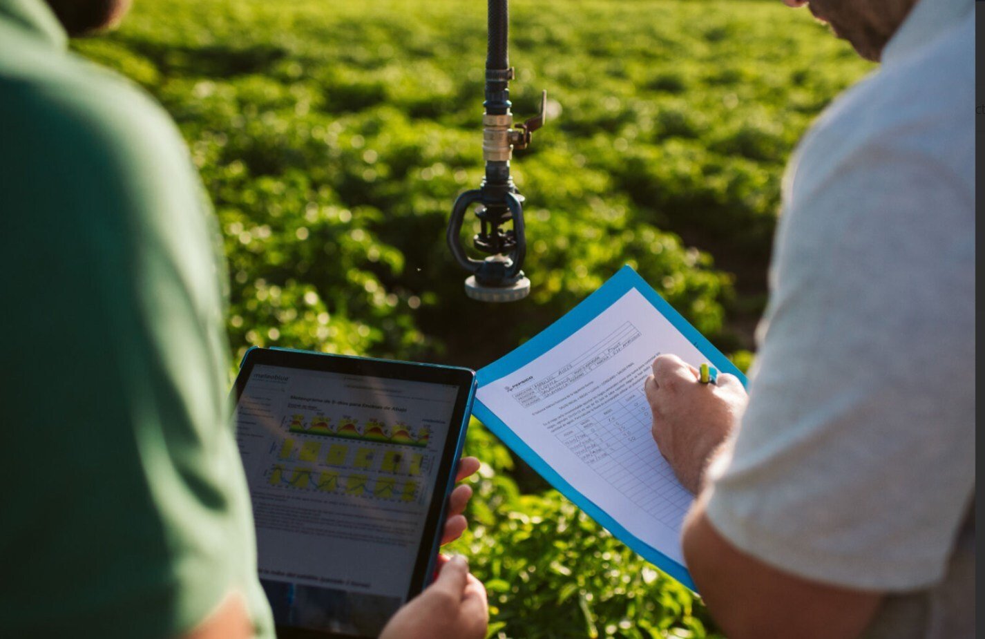 PepsiCo, Unilever lead groundbreaking collaboration to advance regenerative agriculture