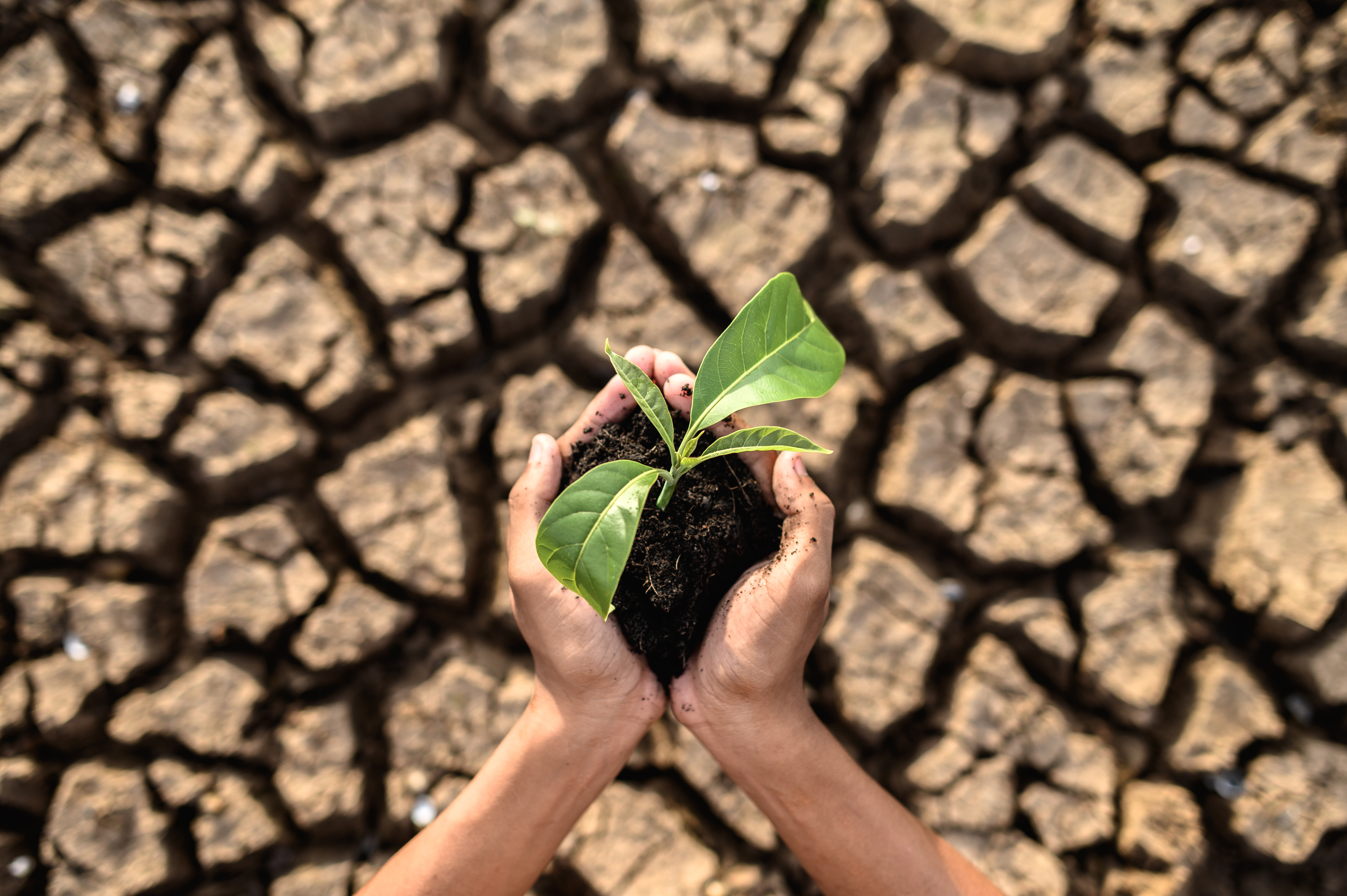 Australia grants $30M to assist farmers and regions in building drought and climate resilience