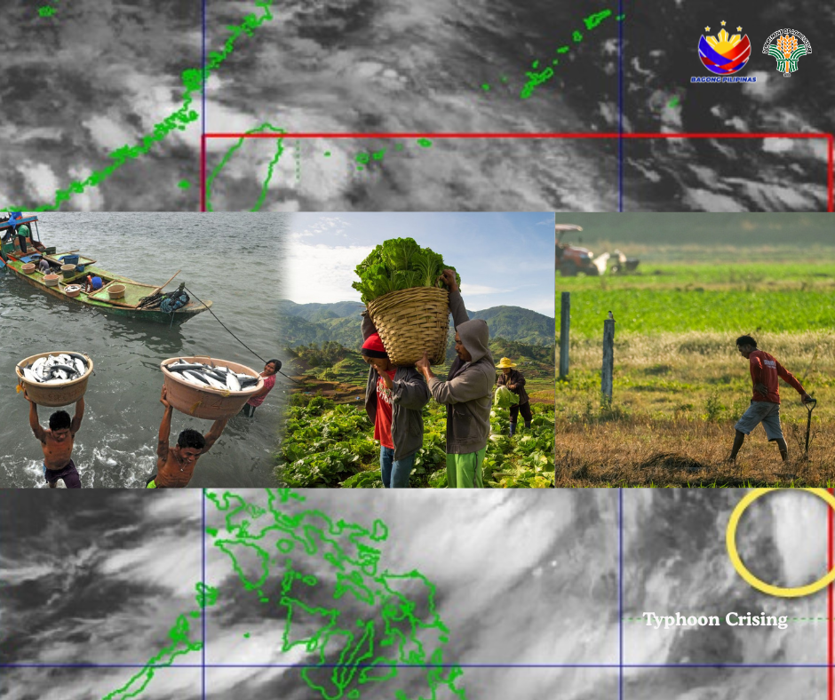 World Bank supports Philippine agriculture with USD70 M climate risk co-insurance pool