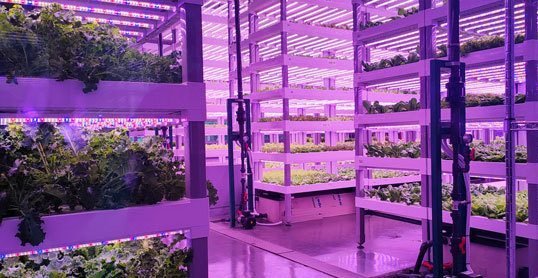 Malaysia's Agroz unveils AI-driven food infrastructure strategy to upgrade vertical farm systems