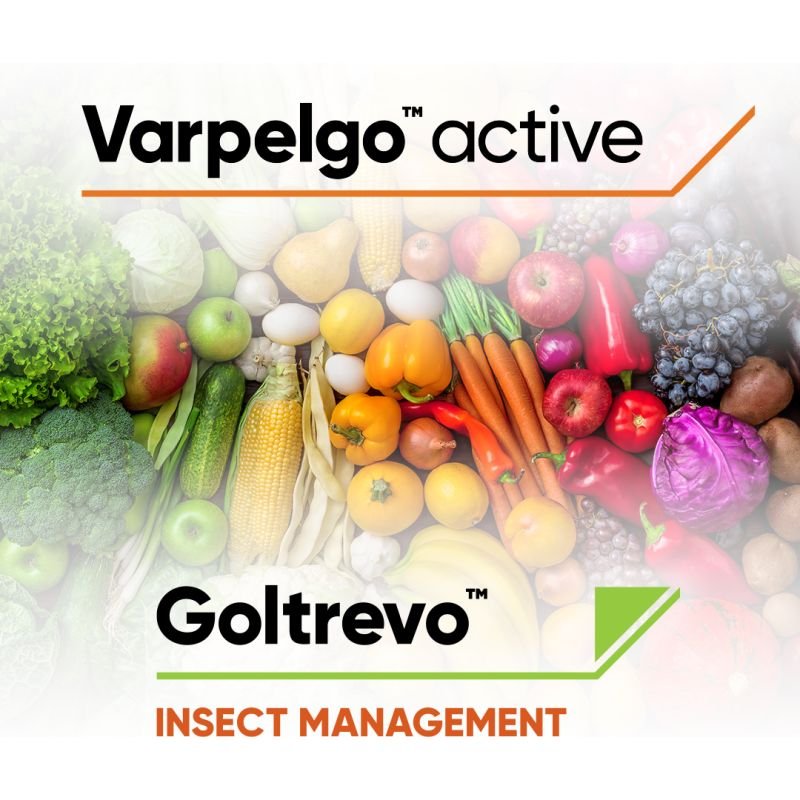 Corteva introduces broad-spectrum microbial-based Bioinsecticide to protect Apples, Oranges, Wheat, Rice, Corn, and more