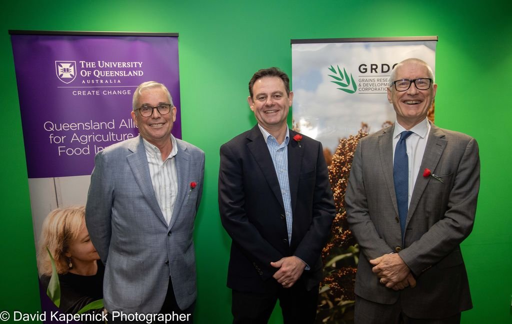 Australia's Grains Research and Development Corporation (GRDC) partners with University of Queensland (UQ) to develop higher yielding, resilient Sorghum 