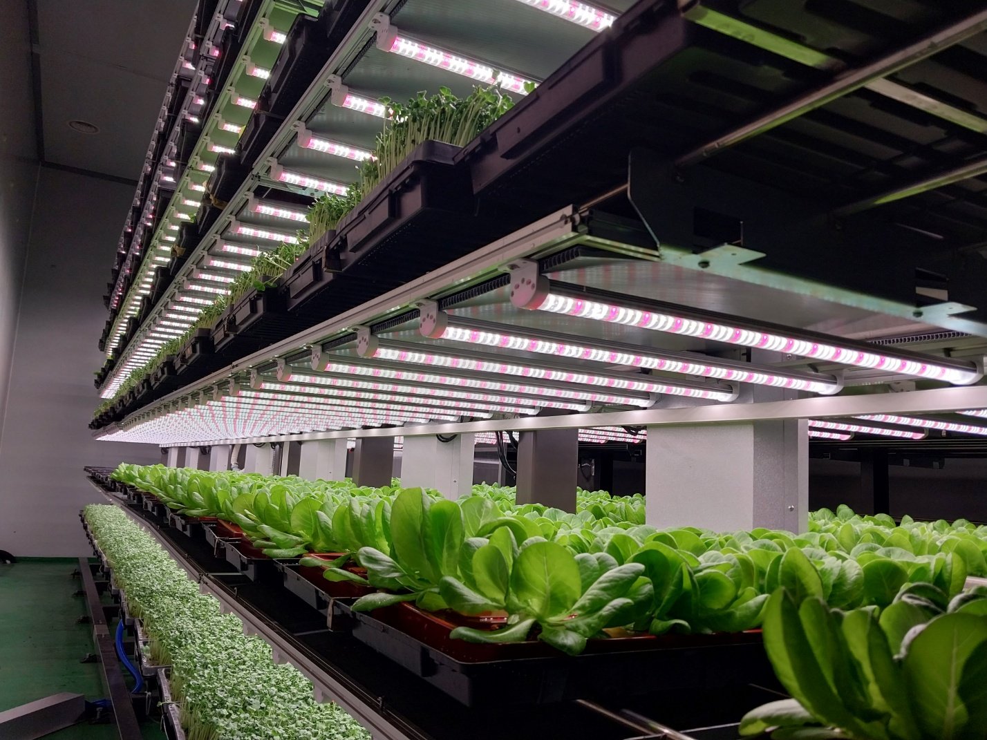Korea's Farmers Lab Ltd. introduces new horizontally revolving vertical farming system to solve labor crisis